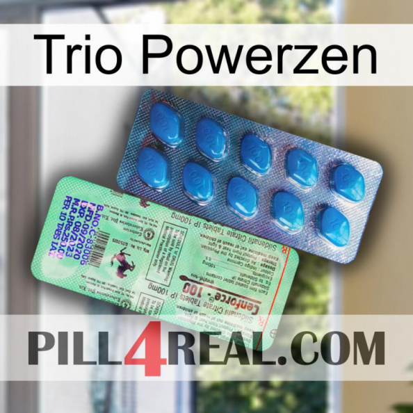 Trio Powerzen new02.jpg